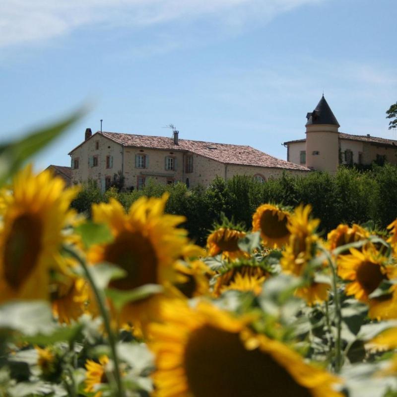 Domaine D'En Naudet Bed & Breakfast Teyssode Dış mekan fotoğraf