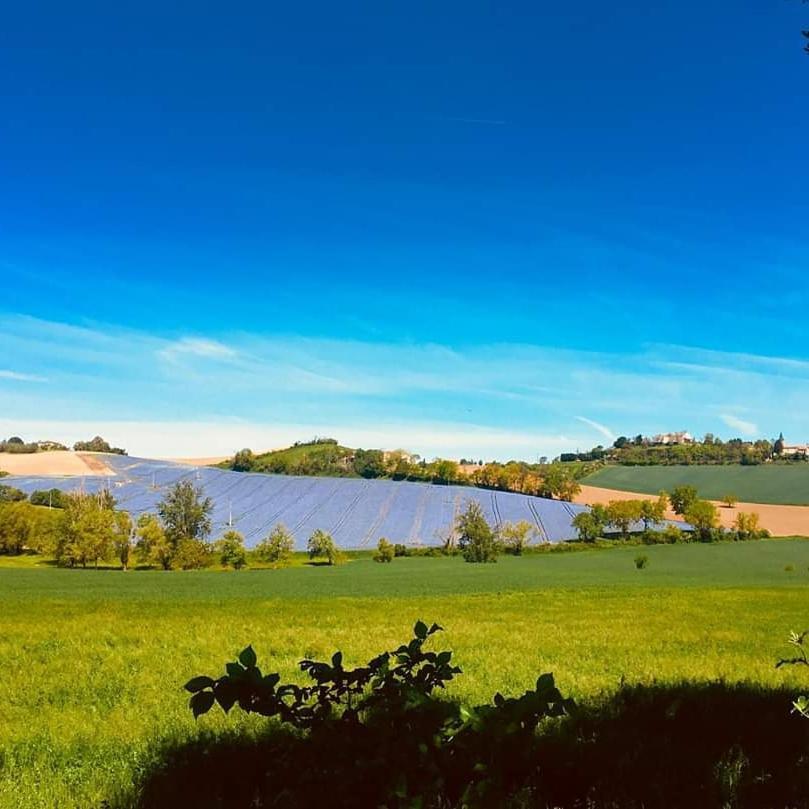 Domaine D'En Naudet Bed & Breakfast Teyssode Dış mekan fotoğraf